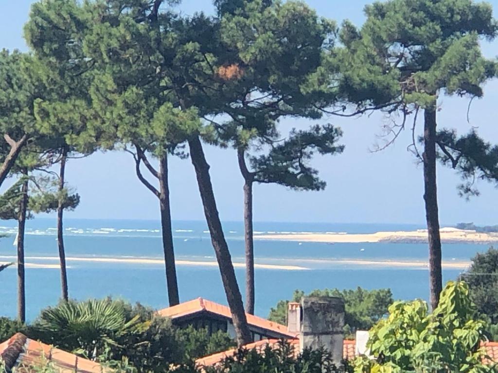 Chambre D'Hotes Pyla Sur Mer La Teste-de-Buch Dış mekan fotoğraf